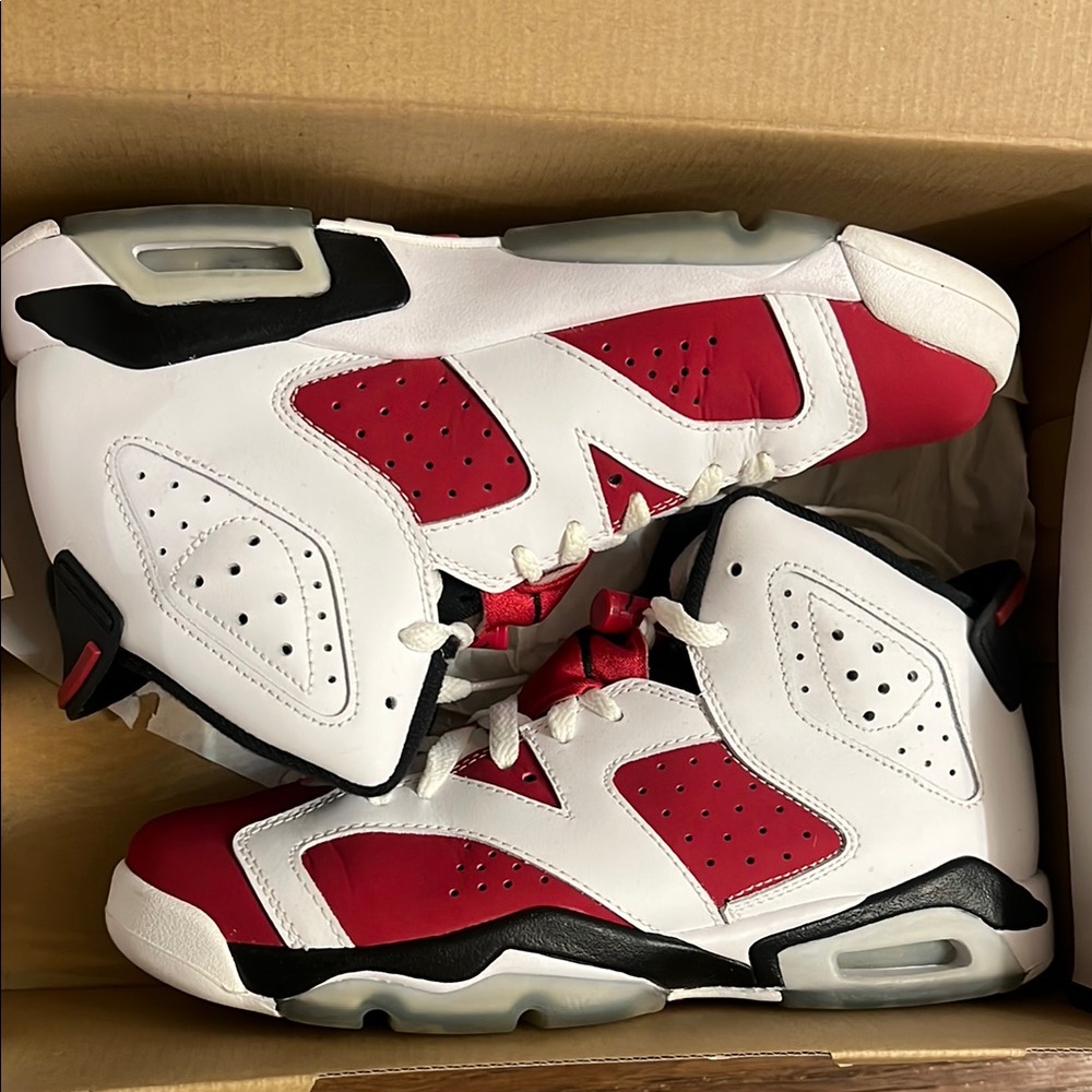 Air Jordan Carmine 6’s